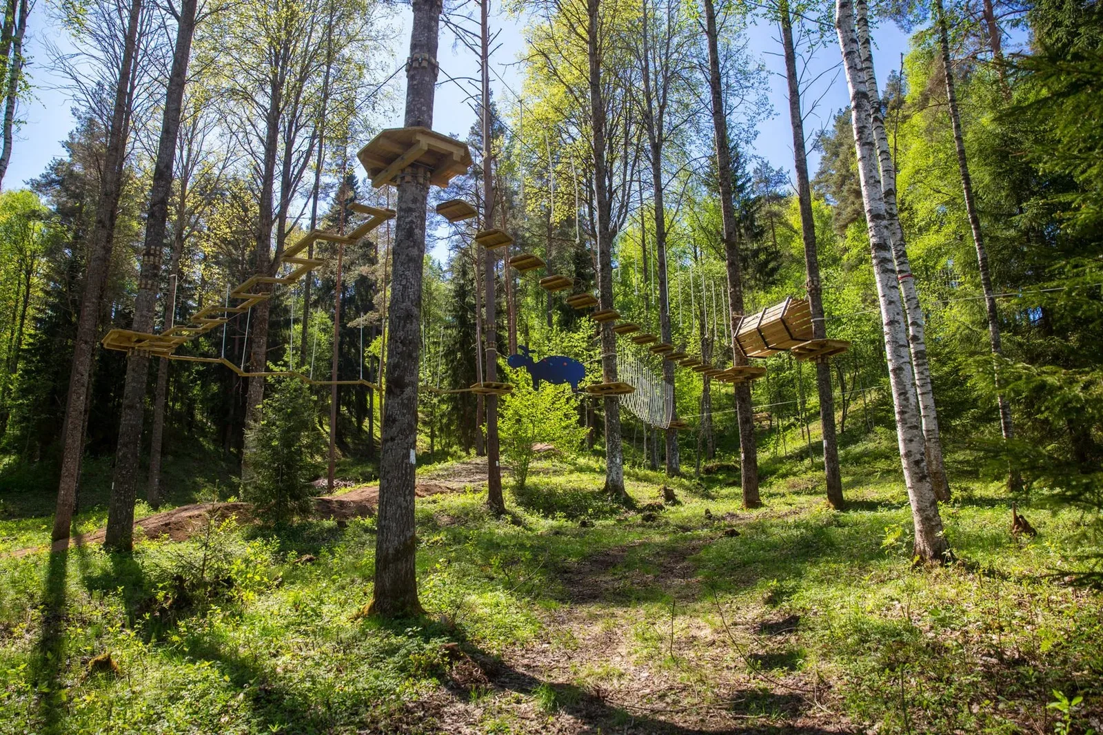 Веревочный парк в «Золотой Долине» — фото 6